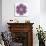 Kaleidoscopic Chrystanthemum Flower Mandala-tr3gi-Premium Giclee Print displayed on a wall