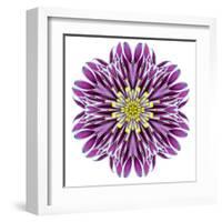 Kaleidoscopic Chrystanthemum Flower Mandala-tr3gi-Framed Art Print