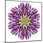 Kaleidoscopic Chrystanthemum Flower Mandala-tr3gi-Mounted Art Print