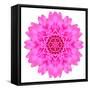 Kaleidoscopic Chrystanthemum Flower Mandala-tr3gi-Framed Stretched Canvas