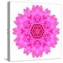 Kaleidoscopic Chrystanthemum Flower Mandala-tr3gi-Stretched Canvas