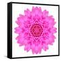 Kaleidoscopic Chrystanthemum Flower Mandala-tr3gi-Framed Stretched Canvas