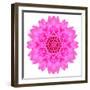 Kaleidoscopic Chrystanthemum Flower Mandala-tr3gi-Framed Premium Giclee Print