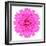 Kaleidoscopic Chrystanthemum Flower Mandala-tr3gi-Framed Premium Giclee Print