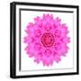 Kaleidoscopic Chrystanthemum Flower Mandala-tr3gi-Framed Premium Giclee Print