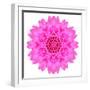 Kaleidoscopic Chrystanthemum Flower Mandala-tr3gi-Framed Premium Giclee Print