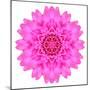 Kaleidoscopic Chrystanthemum Flower Mandala-tr3gi-Mounted Premium Giclee Print