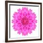 Kaleidoscopic Chrystanthemum Flower Mandala-tr3gi-Framed Premium Giclee Print