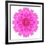 Kaleidoscopic Chrystanthemum Flower Mandala-tr3gi-Framed Premium Giclee Print