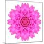 Kaleidoscopic Chrystanthemum Flower Mandala-tr3gi-Mounted Premium Giclee Print