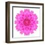 Kaleidoscopic Chrystanthemum Flower Mandala-tr3gi-Framed Art Print