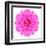 Kaleidoscopic Chrystanthemum Flower Mandala-tr3gi-Framed Art Print