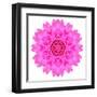 Kaleidoscopic Chrystanthemum Flower Mandala-tr3gi-Framed Art Print