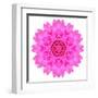 Kaleidoscopic Chrystanthemum Flower Mandala-tr3gi-Framed Art Print