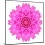 Kaleidoscopic Chrystanthemum Flower Mandala-tr3gi-Mounted Art Print