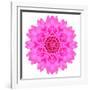 Kaleidoscopic Chrystanthemum Flower Mandala-tr3gi-Framed Art Print