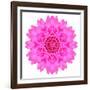 Kaleidoscopic Chrystanthemum Flower Mandala-tr3gi-Framed Art Print