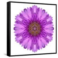 Kaleidoscopic Chrystanthemum Flower Mandala-tr3gi-Framed Stretched Canvas