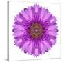 Kaleidoscopic Chrystanthemum Flower Mandala-tr3gi-Stretched Canvas