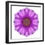 Kaleidoscopic Chrystanthemum Flower Mandala-tr3gi-Framed Premium Giclee Print