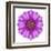 Kaleidoscopic Chrystanthemum Flower Mandala-tr3gi-Framed Art Print