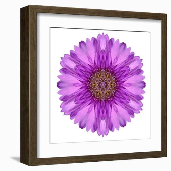 Kaleidoscopic Chrystanthemum Flower Mandala-tr3gi-Framed Art Print