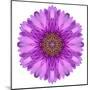 Kaleidoscopic Chrystanthemum Flower Mandala-tr3gi-Mounted Art Print