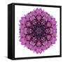 Kaleidoscopic Chrystanthemum Flower Mandala-tr3gi-Framed Stretched Canvas