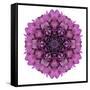 Kaleidoscopic Chrystanthemum Flower Mandala-tr3gi-Framed Stretched Canvas