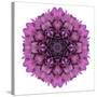 Kaleidoscopic Chrystanthemum Flower Mandala-tr3gi-Stretched Canvas