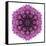 Kaleidoscopic Chrystanthemum Flower Mandala-tr3gi-Framed Stretched Canvas