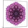 Kaleidoscopic Chrystanthemum Flower Mandala-tr3gi-Mounted Premium Giclee Print