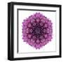 Kaleidoscopic Chrystanthemum Flower Mandala-tr3gi-Framed Art Print