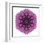 Kaleidoscopic Chrystanthemum Flower Mandala-tr3gi-Framed Art Print