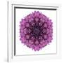 Kaleidoscopic Chrystanthemum Flower Mandala-tr3gi-Framed Art Print