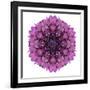 Kaleidoscopic Chrystanthemum Flower Mandala-tr3gi-Framed Art Print