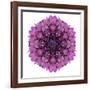 Kaleidoscopic Chrystanthemum Flower Mandala-tr3gi-Framed Art Print