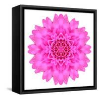 Kaleidoscopic Chrystanthemum Flower Mandala-tr3gi-Framed Stretched Canvas