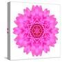 Kaleidoscopic Chrystanthemum Flower Mandala-tr3gi-Stretched Canvas