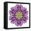 Kaleidoscopic Chrystanthemum Flower Mandala-tr3gi-Framed Stretched Canvas