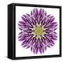 Kaleidoscopic Chrystanthemum Flower Mandala-tr3gi-Framed Stretched Canvas