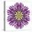 Kaleidoscopic Chrystanthemum Flower Mandala-tr3gi-Stretched Canvas