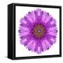 Kaleidoscopic Chrystanthemum Flower Mandala-tr3gi-Framed Stretched Canvas