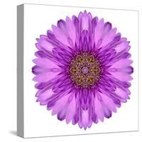 Kaleidoscopic Chrystanthemum Flower Mandala-tr3gi-Stretched Canvas