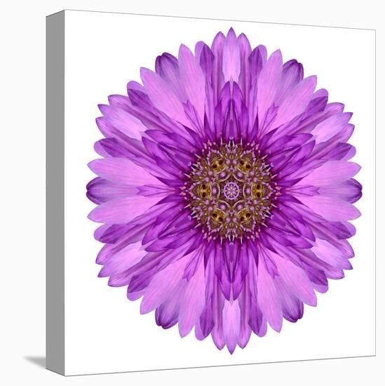 Kaleidoscopic Chrystanthemum Flower Mandala-tr3gi-Stretched Canvas