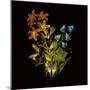 Kaleidoscopic Colour-Kareem Rizk-Mounted Giclee Print