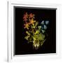 Kaleidoscopic Colour-Kareem Rizk-Framed Giclee Print