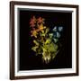 Kaleidoscopic Colour-Kareem Rizk-Framed Giclee Print