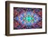 Kaleidoscopic image of Bubble tip anemone, Raja Ampat, West Papua, Indonesia-Georgette Douwma-Framed Photographic Print