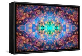 Kaleidoscopic image of Bubble tip anemone, Raja Ampat, West Papua, Indonesia-Georgette Douwma-Framed Stretched Canvas